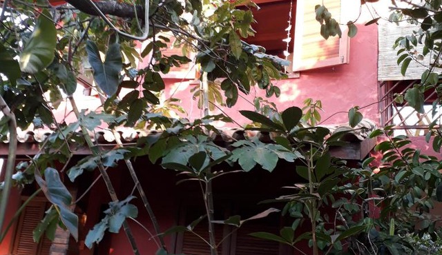 Casa Coral