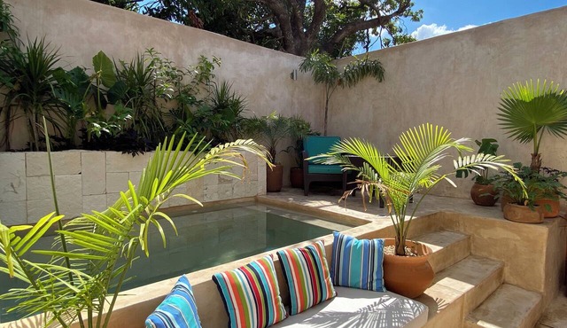 Casa Dali, A+ location lovely house Paseo Montejo