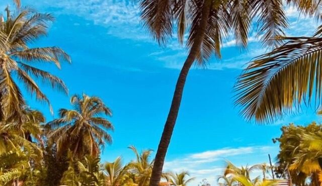 Casa das Rendas Exclusive Bungalows