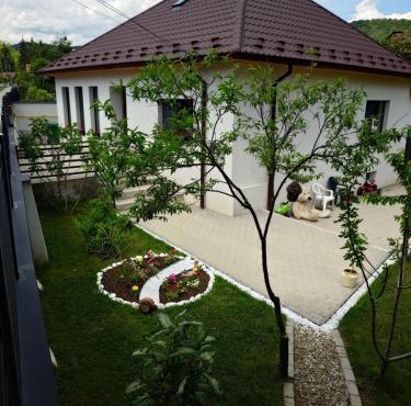 Casa David