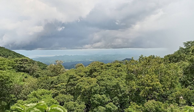 Casa de Campo.excelente Visita a Golfo Nicoya, Apta Para Familias, Zonas Verdes