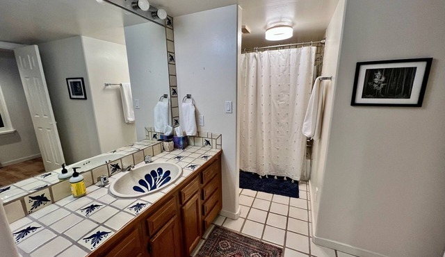 Casa de Carol - Charming 3-bedroom light-filled townhome in SE Santa Fe w/WiFi