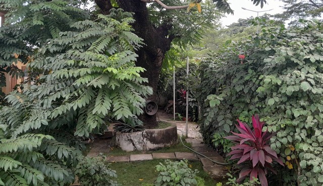 Casa de Ferias