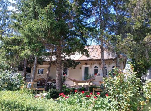Casa de Vacanta Nora