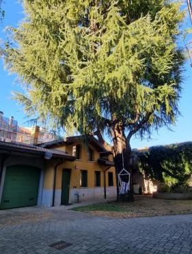 Casa del Cedro - Comfort e relax