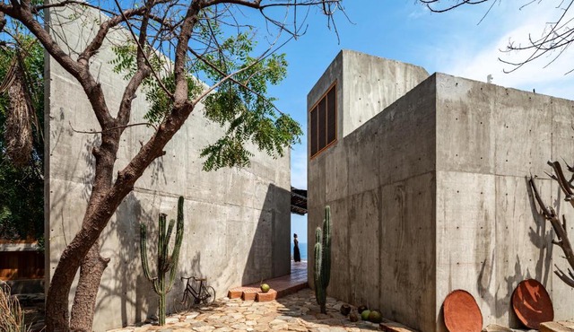 Casa del sapo
