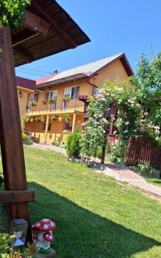 Casa dina
