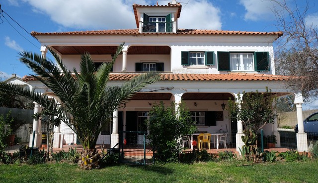 Casa do Olival/Castelo do Bode area