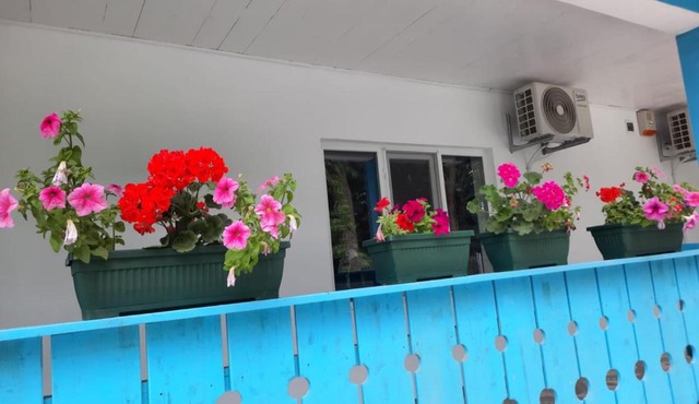 Casa Dobrogea