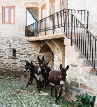 Casa dos Costas