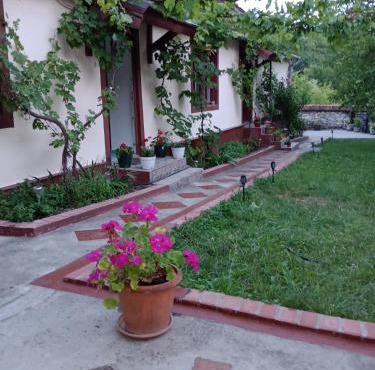 Casa Dragoi din Socolari, 218, Caras - Severin