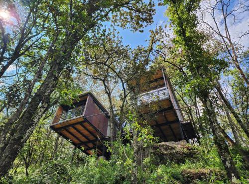 Casa Estudio UMMA, Punta del Bosque