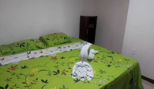 Casa Familiar Grande Mono Congo de osa