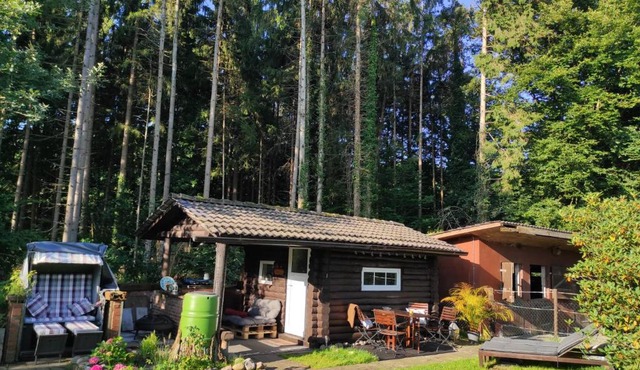 Casa Foresta - minimalistisches 1-Raum Tiny House direkt am Wald
