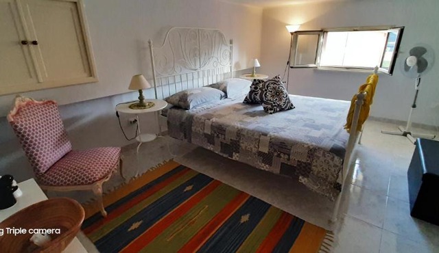 Casa-ForumApartment