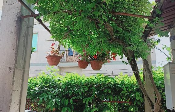 casa giardino