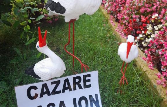 Casa Ion