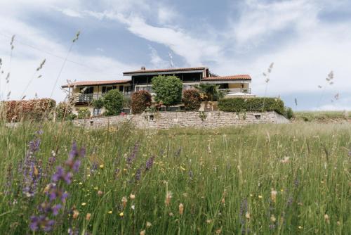 Casa Joop-dolce far niente