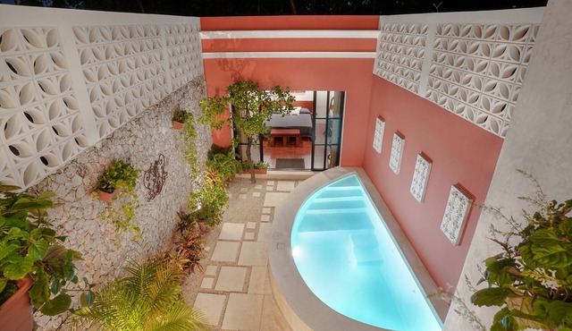 Casa Koala, Peace and Comfort in Santiago