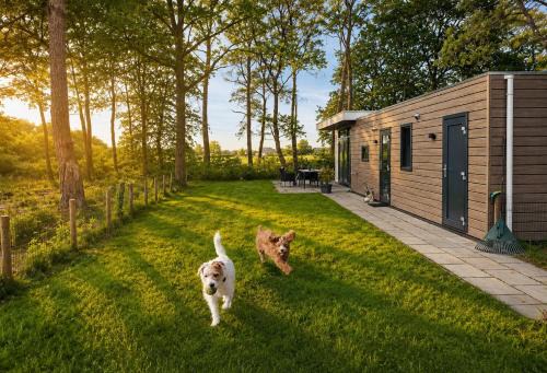 Casa Kwispel - Hondvriendelijk, luxe, natuur, omheinde tuin