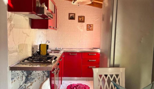 Casa Lady