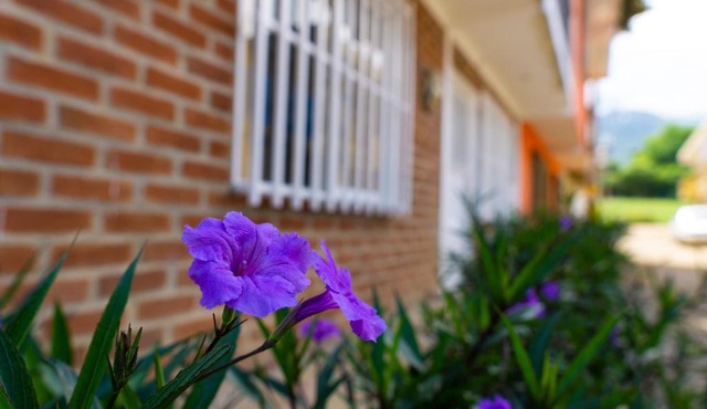 Casa las ruelias
