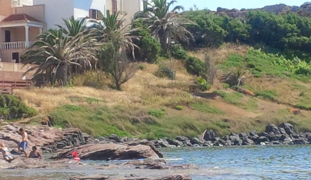 Casa Leo