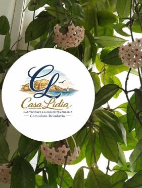 Casa LIDIA Hostel
