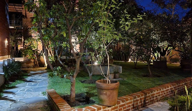 Casa Limon