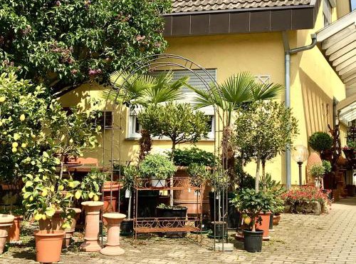 Casa Limone