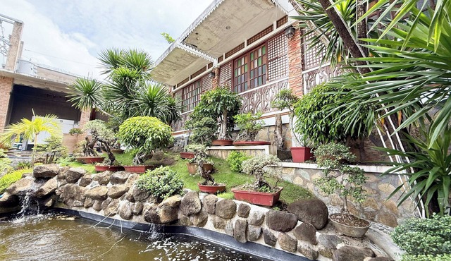 Casa Lorenzo powered by Cocotel