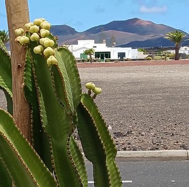 Casa Los Volcanes