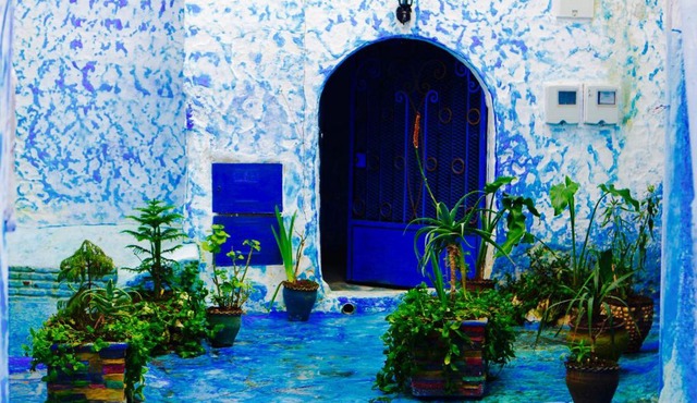 casa malek