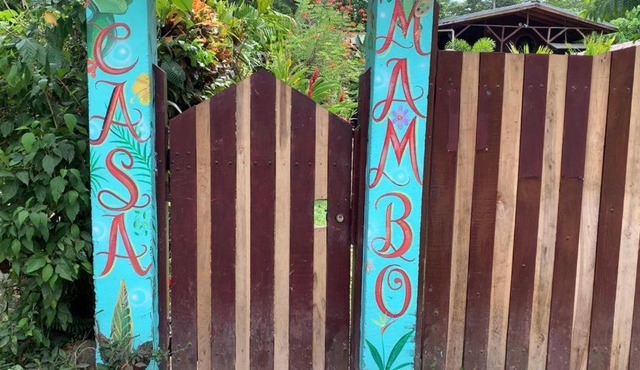 Casa Mambo