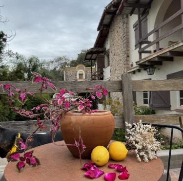Casa mansa