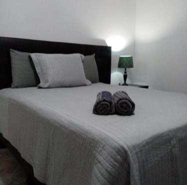Casa Manzanilla