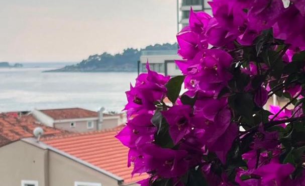 Casa mare