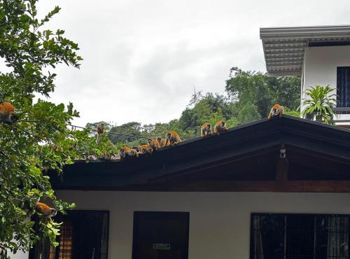 Casa Marisol