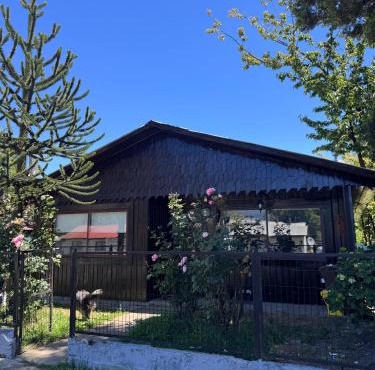 Casa Maya Modern central and pet friendly