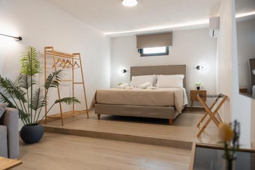 Casa Moderna