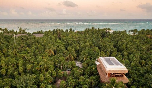 Casa Moksha | Beachside Retreat + Private Cenote