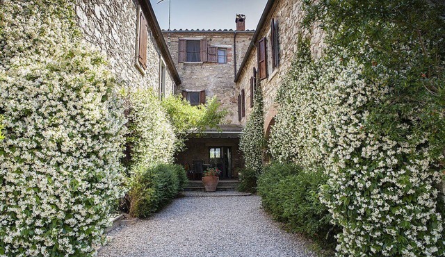 Casa Monia C: A characteristic apartment surrounded by the greenery.