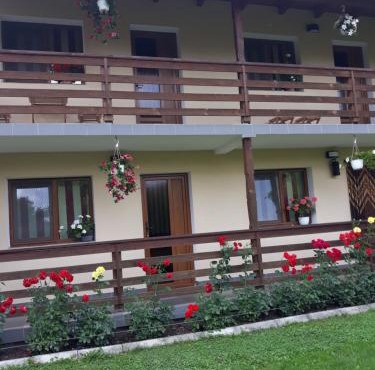 Casa Monika Ciocarliei