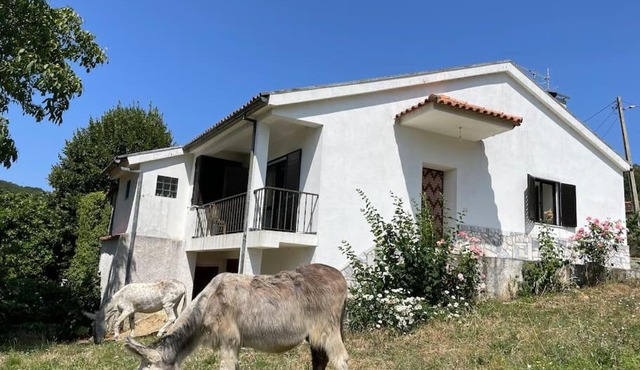 Casa Morais