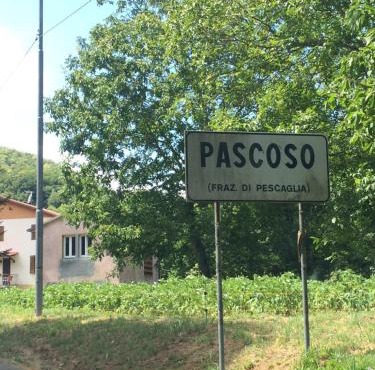 Casa O