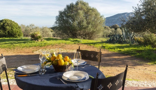 Casa Oliveto 2 - Two Bedroom Villa, Sleeps 3