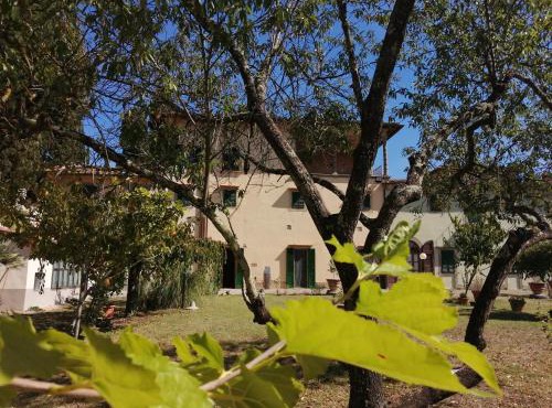 Casa per la Pace