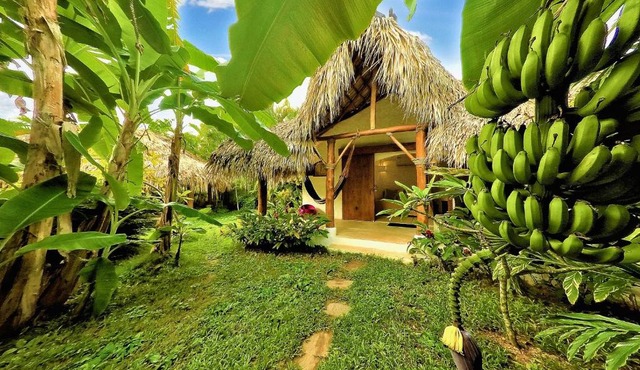 Casa Picaflor B&B
