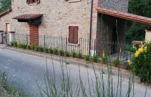 casa pippo