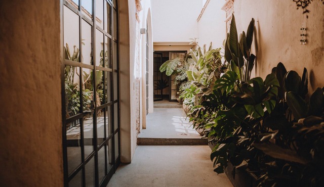 Casa Realm